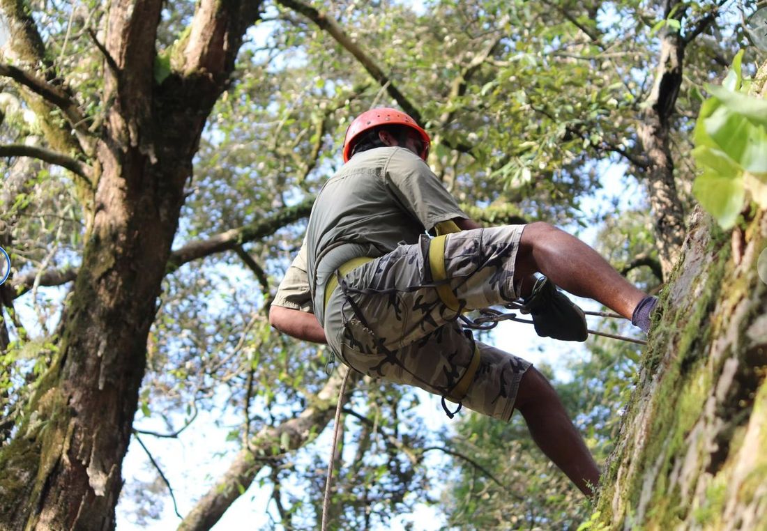 Rope work & tree climbing